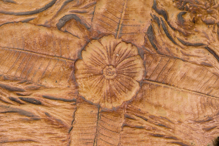 Patterned surface of the stone. It is a flower leaf.の写真素材