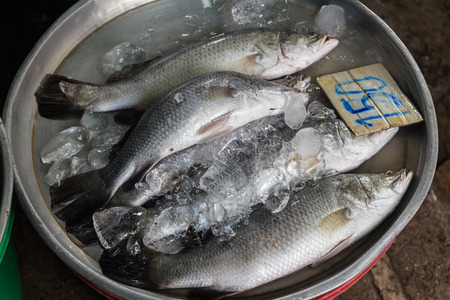 Marine fish. Market freshの写真素材
