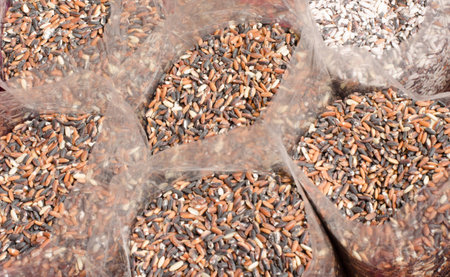 Black grain in bagの写真素材