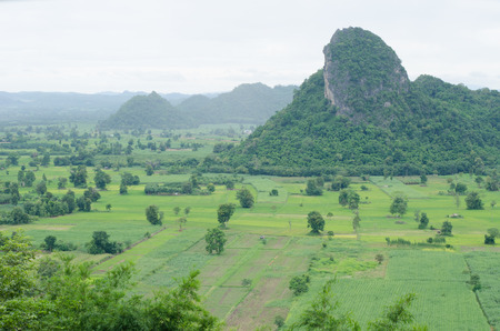 mountains and cornfieldの写真素材