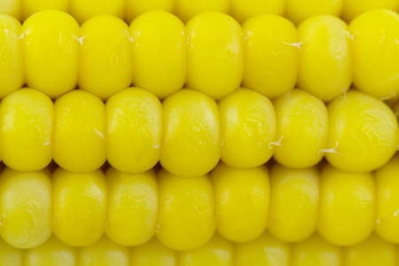 boiled corn. background. closeup, macro.