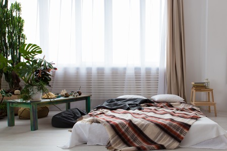 interior of a modern studio apartment with lots of plants and a bed on the floor.の写真素材