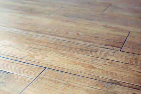 background of floor tiles under a tree closeup
