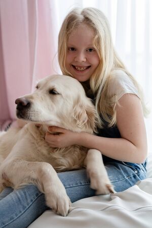 care and love for pets. teenager girl in the home hugs with a golden retriever big dogの写真素材