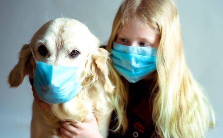 funny photo - quarantined due to an epidemic of coronavirus. portrait of a masked dog and girl on a gray background.の写真素材