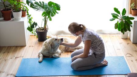 stay at home. woman doing yoga in the living room during quarantine, a large dog is lying nearby.の写真素材