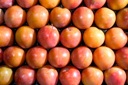 Plums in a crate