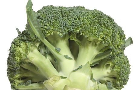 Close-up of broccoli on white bottomの写真素材