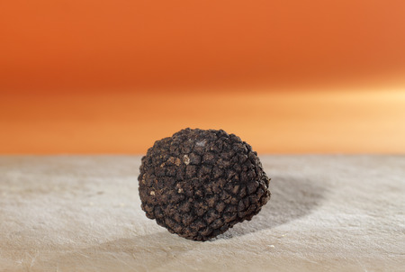 Reviews The most perfumed of mushrooms, the French black truffleの写真素材