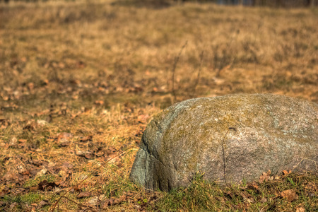 Big rock lying in the dry grassの写真素材