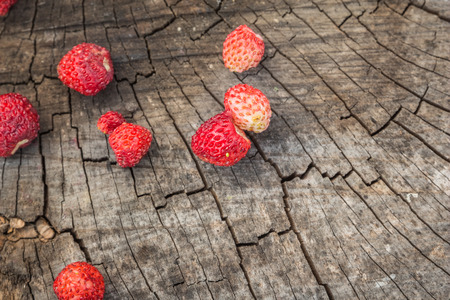 Several ripe red berries of wild strawberries on vintage wooden surface with top view and copy spaceの写真素材