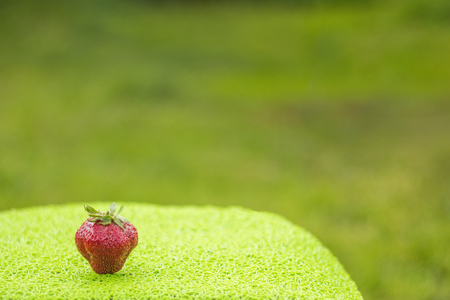 A large strawberry on a green background with copy spaceの写真素材