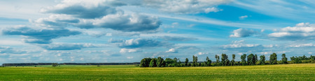 Panoramic landscape with green field and small forest plantations in the beautiful cloudy skyの写真素材