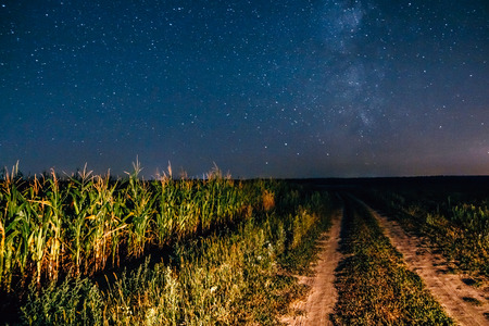 The night the starry sky over a field with country roadの写真素材