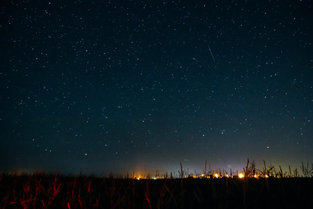 A field of corn and starry night sky with shooting starの写真素材