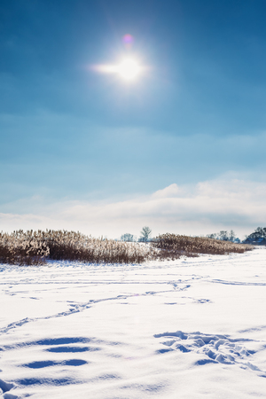 Lake covered with snow against the blue sky with the sun. Winter landscapeの写真素材