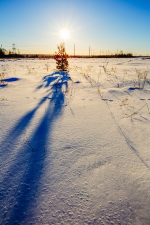 Beautiful sun over a snowy winter fieldの写真素材