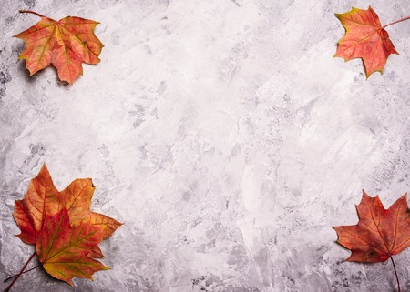 Gray benton background with maple leaves