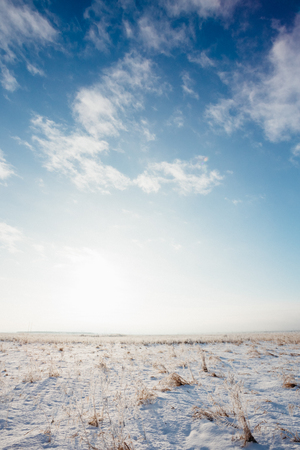 Rural field in winter under a blue skyの写真素材