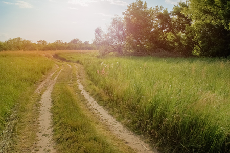 Country road among meadows in the summer landscapeの写真素材