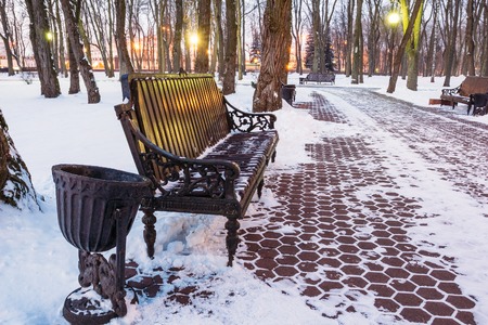 Winter park with benches in the snowの写真素材