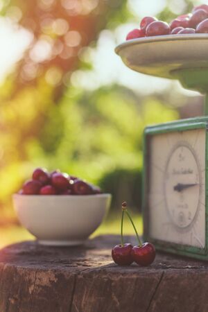 Two ripe cherries on a background with scales and a bowl full of cherries