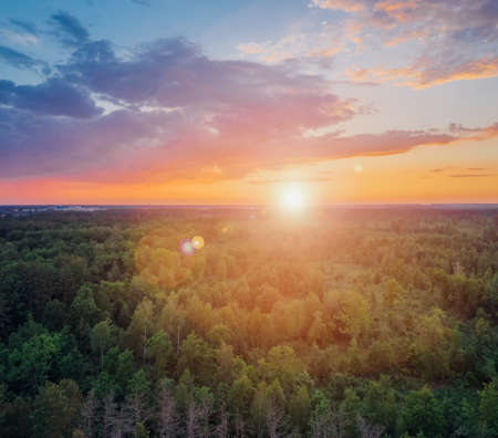 Forest at sunset. The sun shines over the treetops against a beautiful cloudy sky. Aerial viewの写真素材