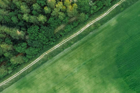 Country road near the forest and green field view from the top. The road near the pine forest....