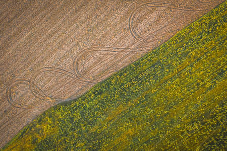 Top view of a field with corn and arable land. Farm field textureの写真素材