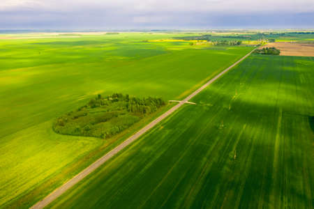 Bright green fields of Belarus sown with wheat. Aerial viewの写真素材