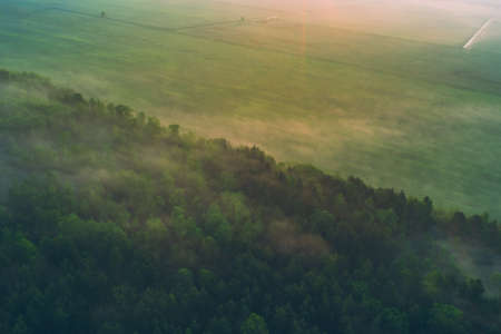 Green pine forest and collective farm field with fog early in the morning. View from above. Backgroundの写真素材