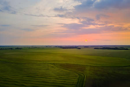 Fields of Belarus before sunset at duskの写真素材