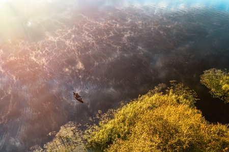 Experience the Serene Aerial View of a Lush Green Riverbank at Sunrise, Perfect for Nature Loversの写真素材