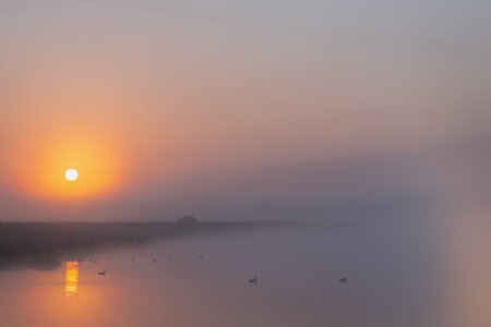 Serene Sunrise Over Misty Waters at Dawn Creates a Breathtaking Scene of Natural Beauty and Calmnessの写真素材