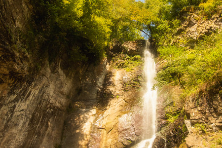 A Majestic Waterfall Cascading Beautifully Through Lush Greenery in a Serene and Tranquil Forest