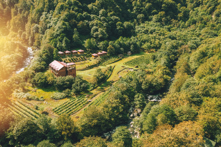 Aerial view reveals a green valley with Villa vineyards by a river, creating a picturesque landscapeの写真素材