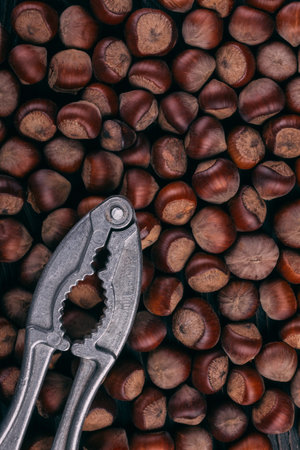Delicious Hazelnuts beautifully displayed on an inviting Dark Background for presentationの写真素材