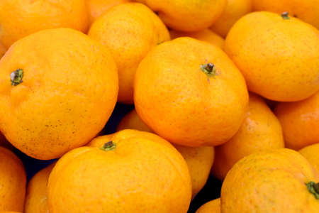 Mandarin oranges in stacks. Full view.の写真素材