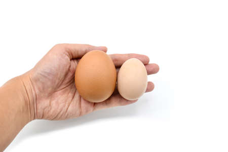Comparing standard chicken egg and bantam egg. Isolated on white.の写真素材