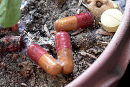 Expired medicine used as fertilizer. Closeup view.の写真素材