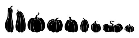 Set of silhouettes of pumpkins black on white from largest to smallest. A collection of pumpkins of various shapes in a row. Vector illustration isolated on white background.のイラスト素材