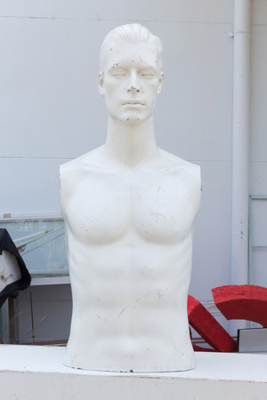 Realistic mannequin head and torso