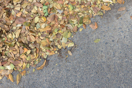 Colorful fall leaves backgroundの写真素材