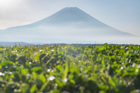 Mount Fuji From low angle view in Fumotoの写真素材