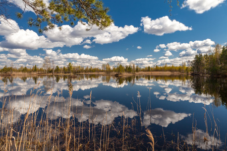 Lake landscape in summer and blue sky with cloudsの写真素材