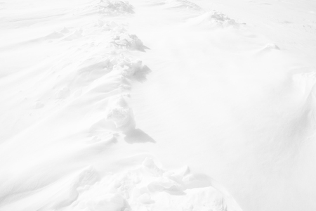 White texture backgroundの写真素材