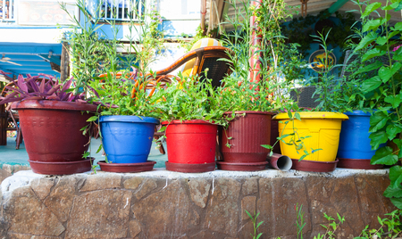 Bali, Island Crete, Greece, - June 24, 2016: View on the flowers in pots in cafe in the village Bali that is located on the coast of island Crete on early morning.のeditorial素材