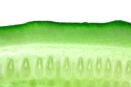 Close-up of fresh cucumber. Macro. Background of a fresh cucumberの写真素材