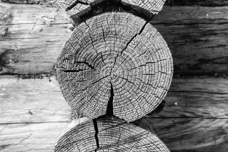 Wooden wall made from logs. Wood black white texture background. Close up.