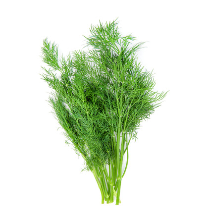 dill isolated on whiteの写真素材